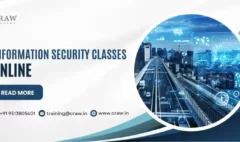Information Security Classes Online