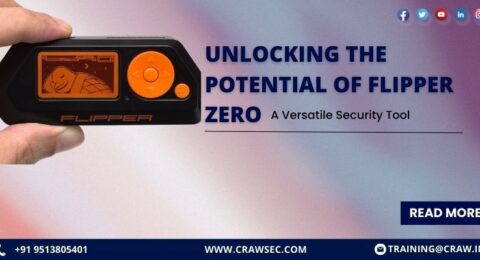 Unlocking the Potential of Flipper Zero