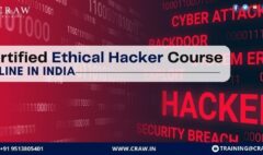 certified ethical hacker course online india