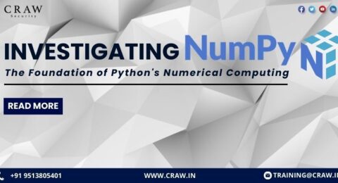 Investigating NumPy The Foundation of Python's Numerical Computing