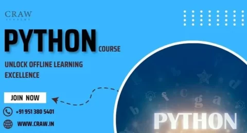 Master Python in Delhi: Unlock Offline Learning Excellence