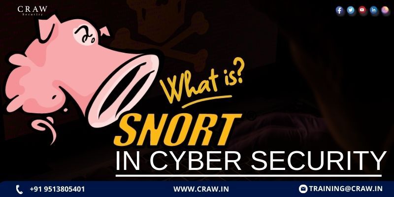 What is Snort in Cybersecurity