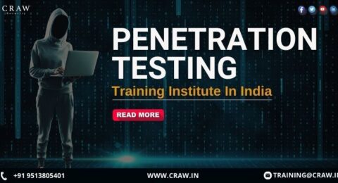 penetration testing training institute