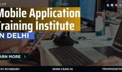 Mobile Application Training Institute in delhi