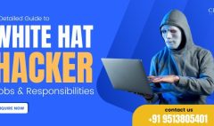 White Hat Hacker Jobs and Responsibilities