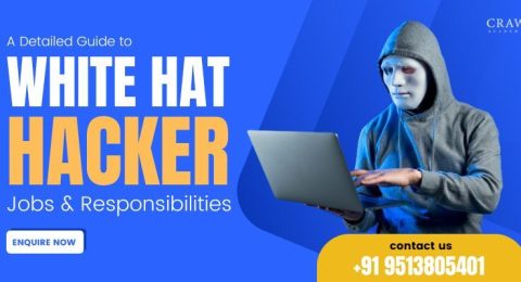 White Hat Hacker Jobs and Responsibilities