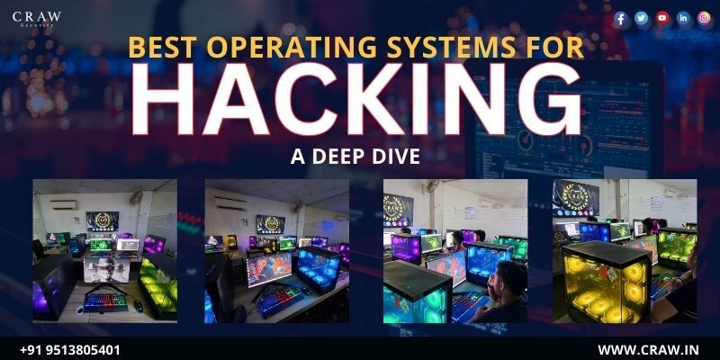 Best Operating Systems for Hacking A Deep Dive
