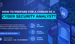 Cyber Security Analyst